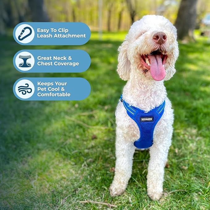 Best Pet Supplies Voyager Adjustable Step-in Flex Breathable Mesh Dog Harness - Image 5
