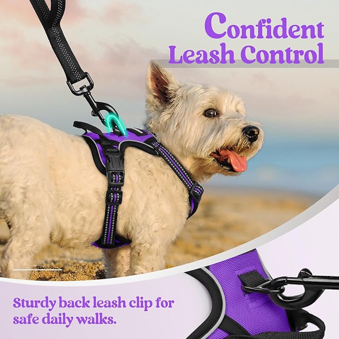 rabbitgoo Dog Harness No Pull - Image 6