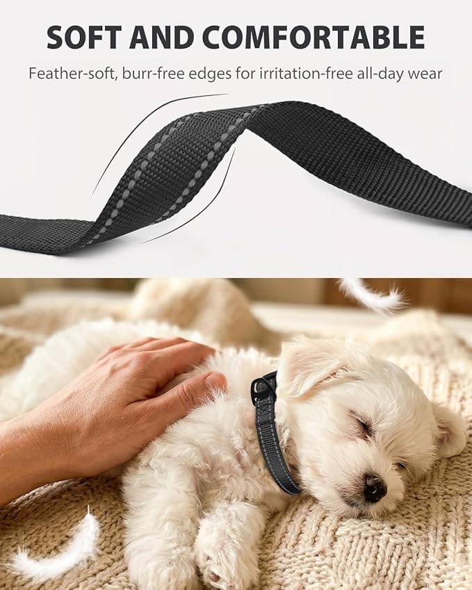 Joytale Small Dog Collar, Durable Double-Sided Reflective Nylon Collar - Image 3