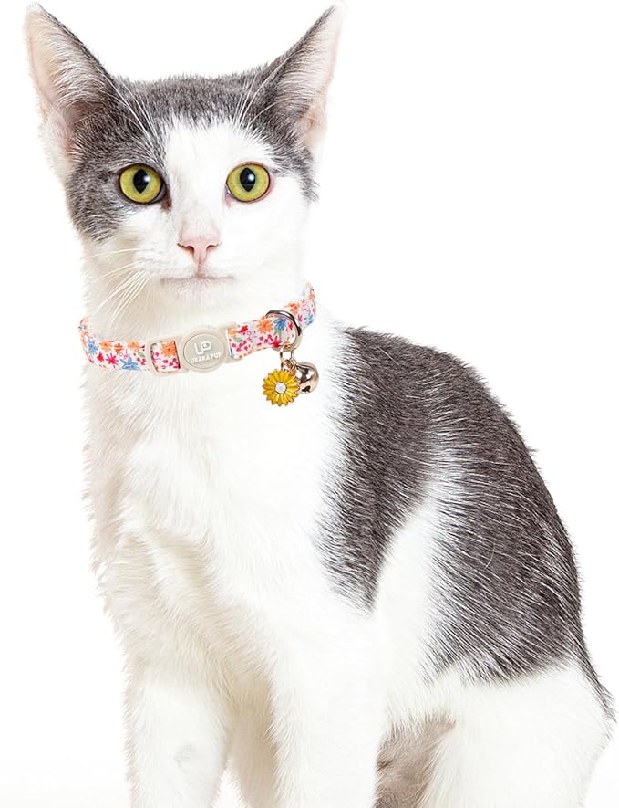 Cat Collar, Pretty Flower Kitten Collars - Image 5