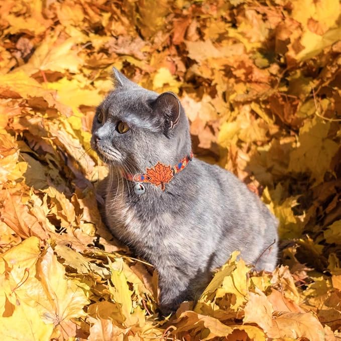 PUPTECK Cat Collar Breakaway - Image 7