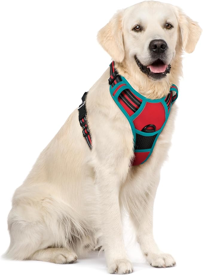 rabbitgoo Dog Harness No Pull by rabbitgoo