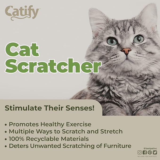 Best Pet Supplies Catify Cat Scratcher, Fun Interactive Scratchers, Claw Safe - Image 4