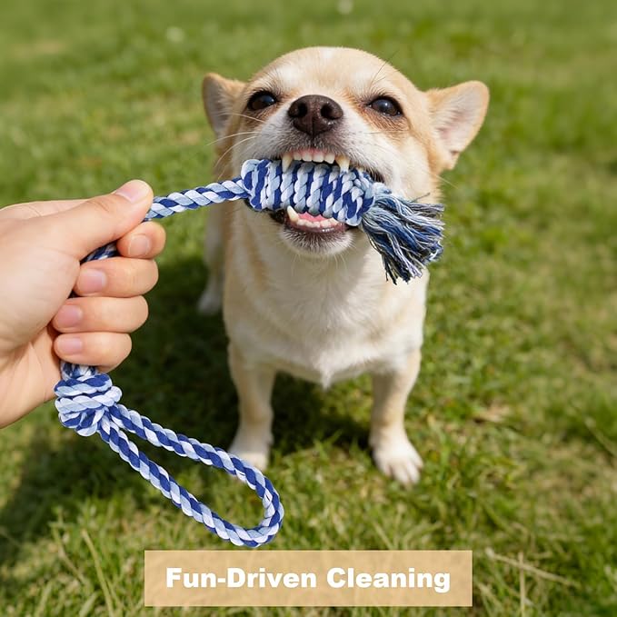 Depets Dog Rope Toys for Small Dogs, Puppy Tug of War Interactive Toy, Washable - Image 5