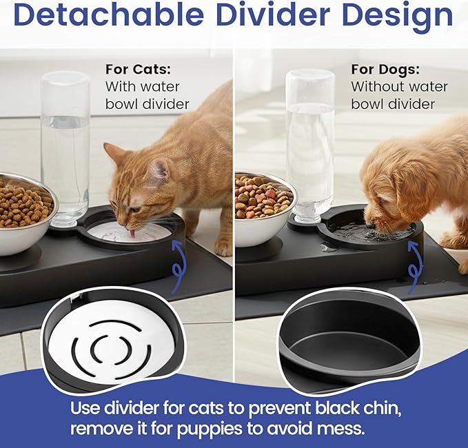 Raised Dog Cat Food Bowl, Cat Food and Water Bowl Set - Image 7