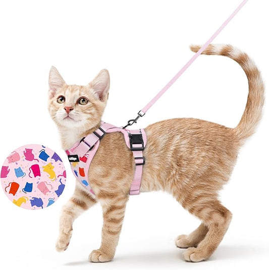 rabbitgoo Cat Harness and Leash Set, Escape Proof Kitten Harness by rabbitgoo