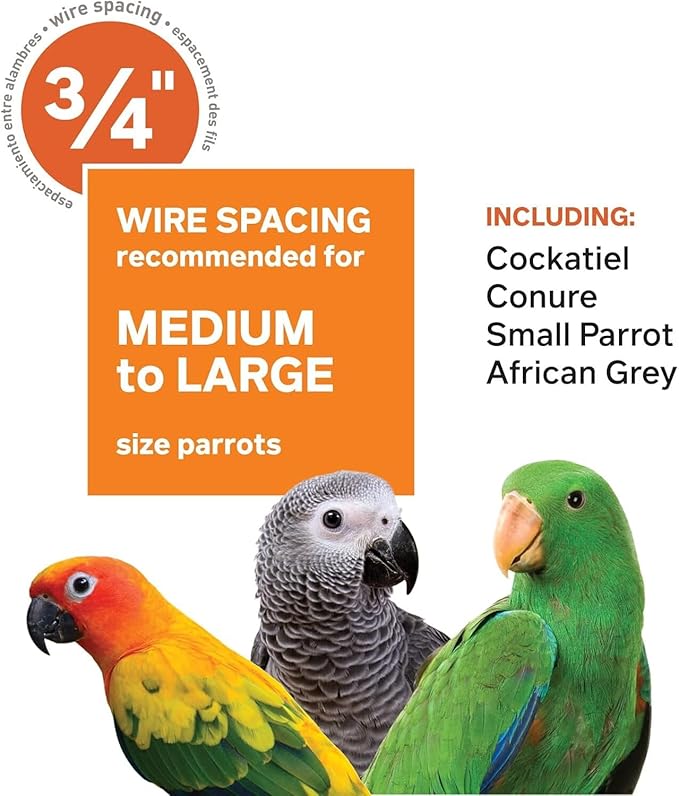 Prevue Pet Products Wrought Iron Select Bird Cage 3154C, Chalk White, 36-Inch - Image 7