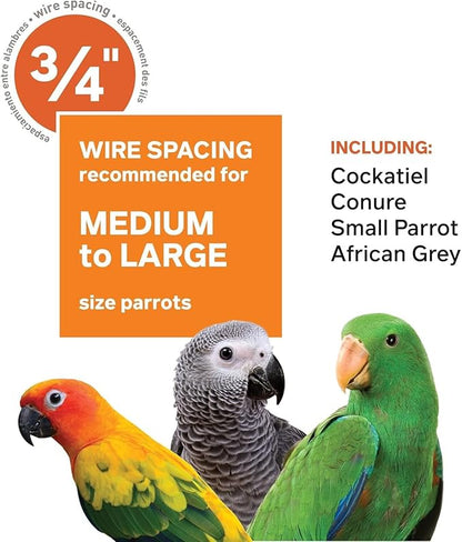 Prevue Pet Products Wrought Iron Select Bird Cage 3154C, Chalk White, 36-Inch - Image 7