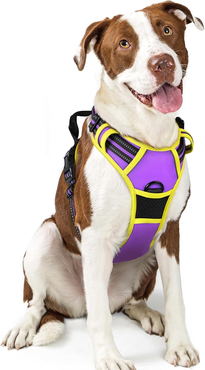 rabbitgoo Dog Harness No Pull by rabbitgoo