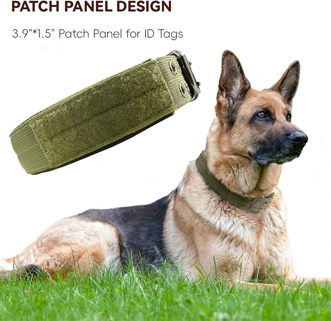 Heavy Duty Dog Collar for Large Dogs, Tactical Dog Collars - Image 4