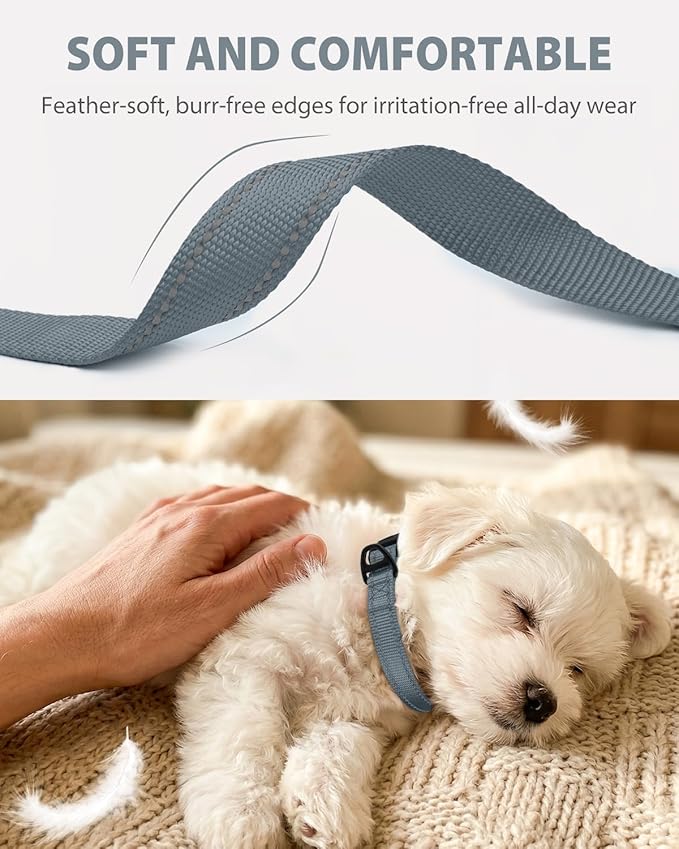 Joytale Small Dog Collar, Durable Double-Sided Reflective Nylon Collar - Image 3