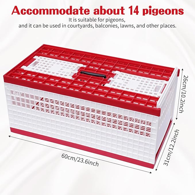 Racing Pigeon Carrier Box - Image 2