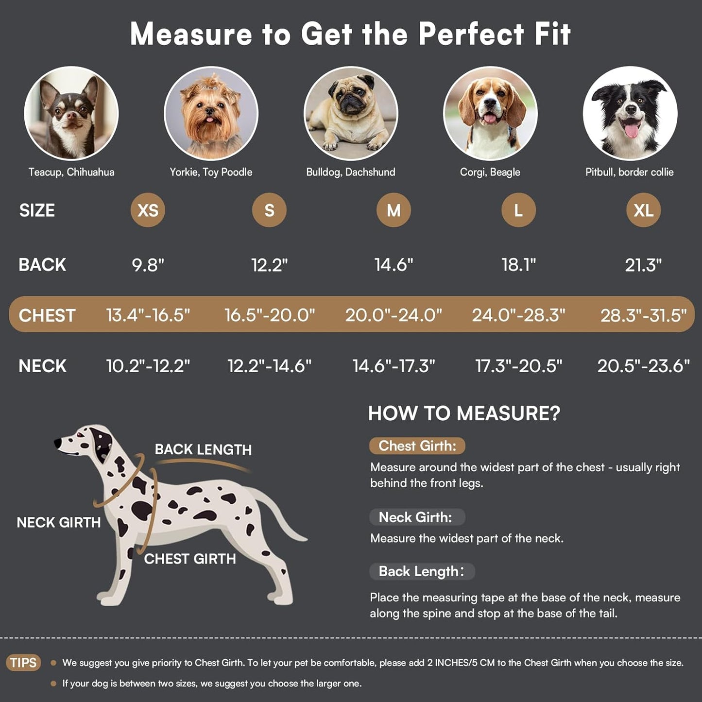 Queenmore Dog Winter Coat Warm Puffer Jacket Waterproof Plush Lining Thermal Cold Weather Vest for Small Medium Large Dogs, Windproof Easy On Pet Jacket Yellow L