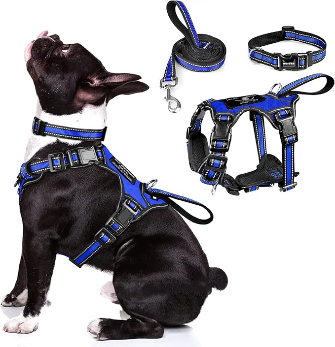 WINSEE Pet Harness Collar and Leash Set, All-in-one Reflective Dog Harness No by WINSEE