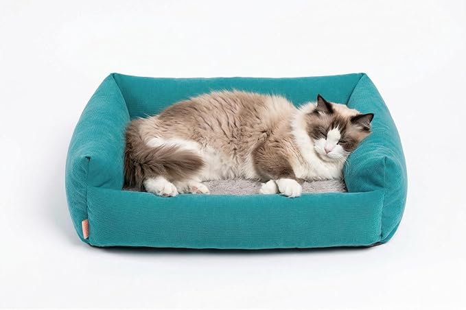 Cat Beds for Indoor Cats Washable, Small Dog Bed for Small Dogs, Orthopedic Dog by Miguel