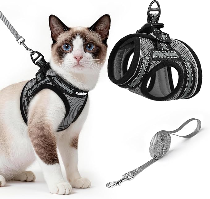 rabbitgoo Cat Harness and Leash, Step-in Escape Proof Kitten Harness Set by rabbitgoo