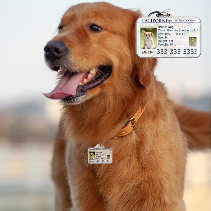 Custom Dog Driver License Tag for Pets - Image 8