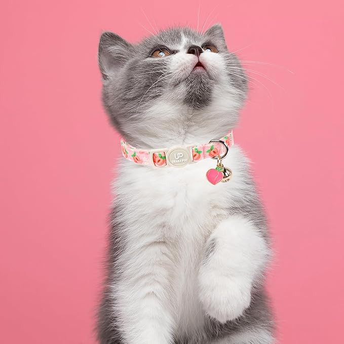 Cat Collar, Cat Collar with Bell, - Image 6