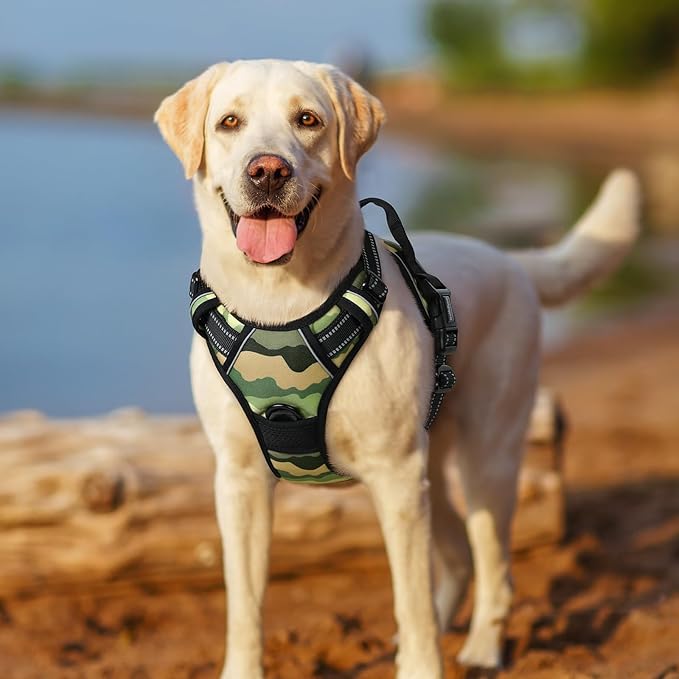 rabbitgoo Dog Harness No Pull - Image 8