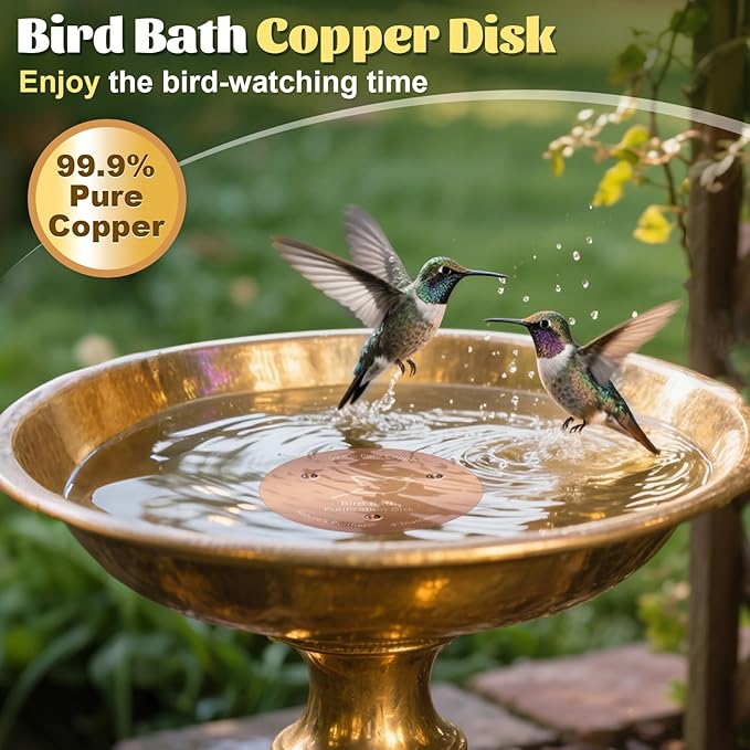 3 PCS Bird Bath Copper Disk, Reinforced 99.99% Pure Copper Disc - Image 5