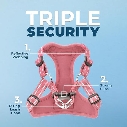 Best Pet Supplies Voyager Adjustable Step-In Flex Breathable Mesh Dog Harness - Image 2