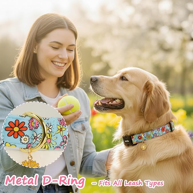 Dog Collar for Small Dogs, Spring &Summer Theme Dog Collars - Image 2