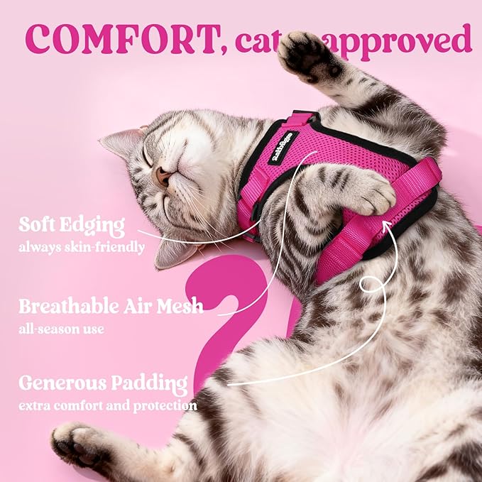 rabbitgoo Cat Harness and Leash Set, Escape Proof Vest Harness - Image 4