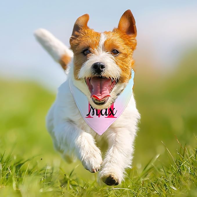 Personalized Dog Bandanas with Buckle Name Photo Logo Custom Neckwear Dog Scarf - Image 5
