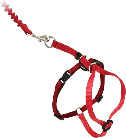 PetSafe Come with Me Kitty Harness and Bungee Leash Adjustable, Lightweight - Image 4