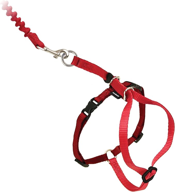 PetSafe Come with Me Kitty Harness and Bungee Leash Adjustable, Lightweight - Image 4
