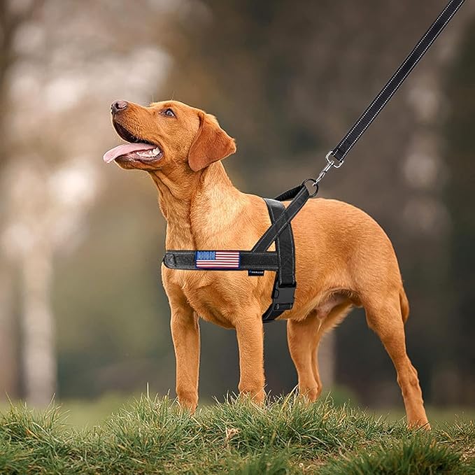 Annchwool No Pull Dog Harness - Image 7