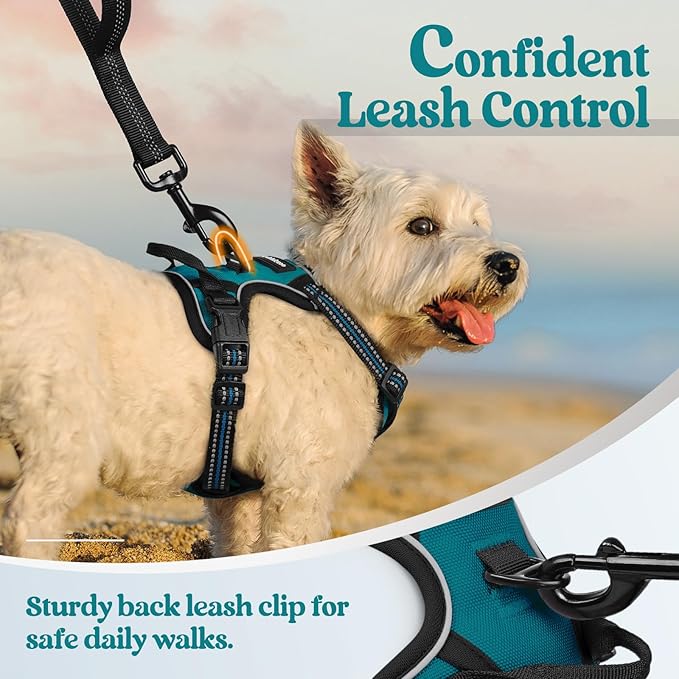 rabbitgoo Dog Harness No Pull - Image 6