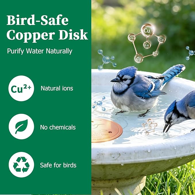 Bird Bath Copper Disk, 0.6mm Reinforced 99.99% Pure Copper Cleaning Disc Plate - Image 3
