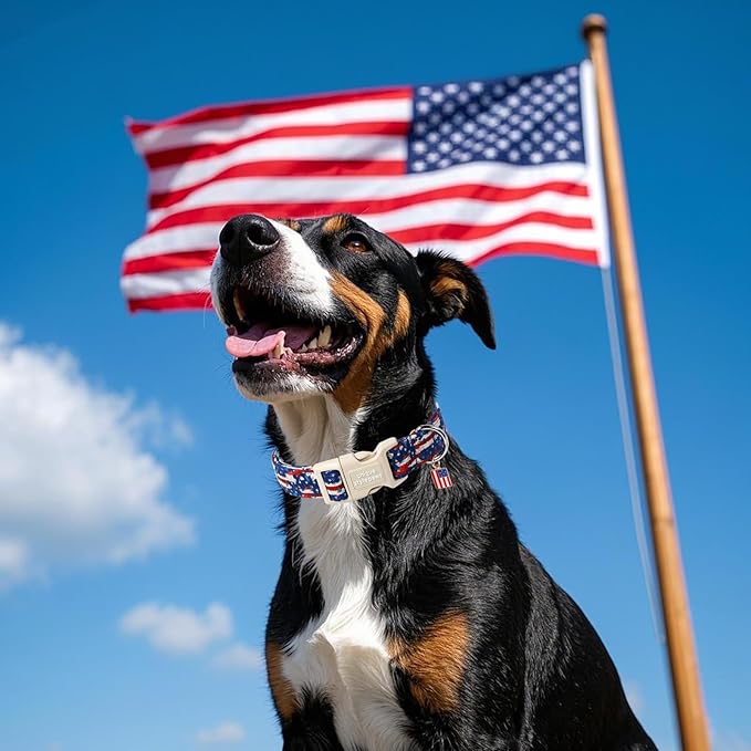 Unique style paws Dog Collar Plastic Buckle - Image 5
