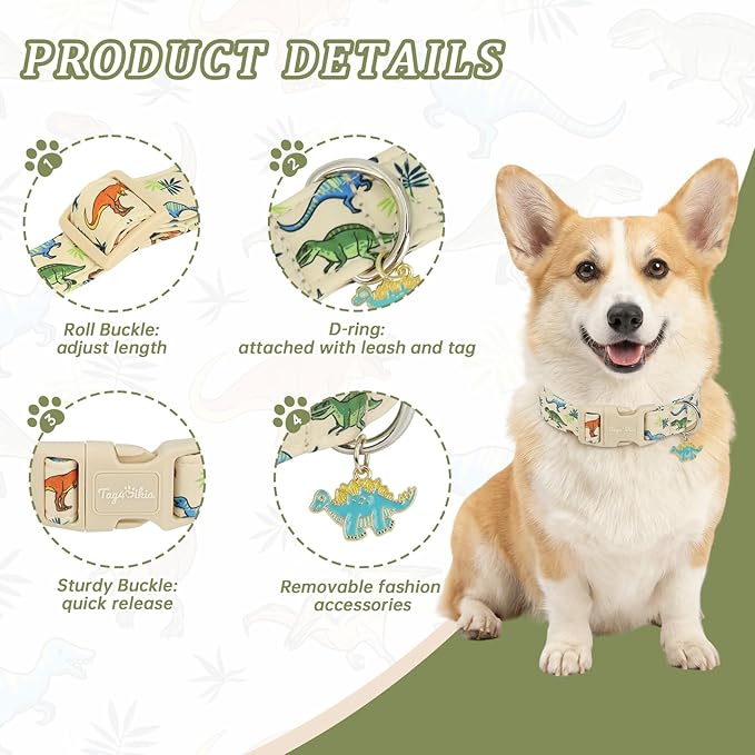 Dinosaur Dog Collar, Cute Boy Dog Collars - Image 2