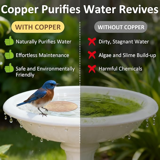 Bird Bath Copper Discs - Image 4