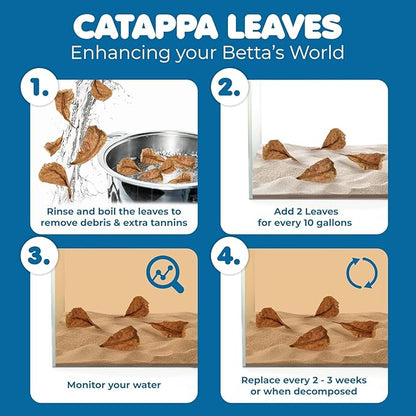 SunGrow 100 pcs Catappa Indian Almond Leaves - Image 6