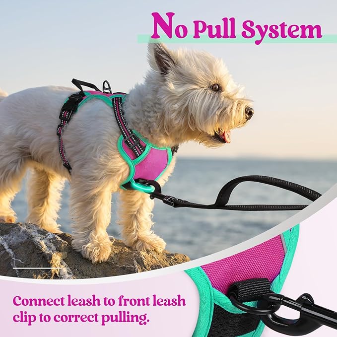 rabbitgoo Dog Harness No Pull - Image 5