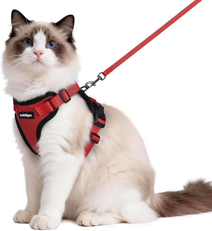 rabbitgoo Cat Harness and Leash Set, Escape Proof Vest Harness by rabbitgoo