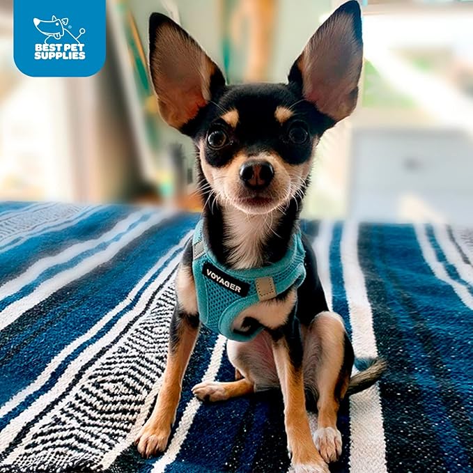 Best Pet Supplies Voyager Step-in Air Harness - Image 10