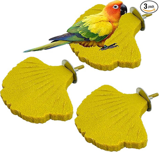 3 Pcs Parrot Perch Resin Bird Beak Grinding Stone Leaf Shape Perch Stand Foot by Apatal