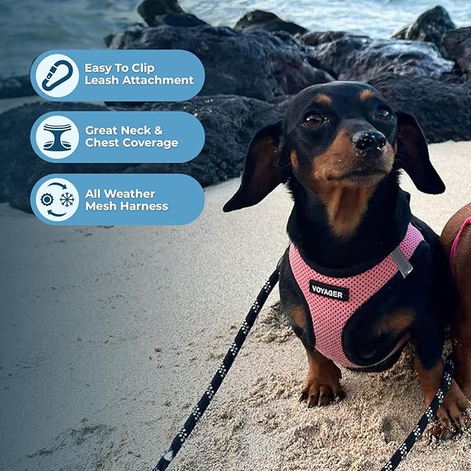 Best Pet Supplies Voyager Step-in Air All Weather Mesh Harness and Reflective - Image 6