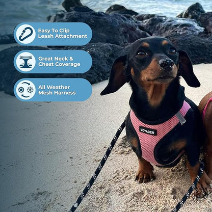 Best Pet Supplies Voyager Step-in Air All Weather Mesh Harness and Reflective - Image 6