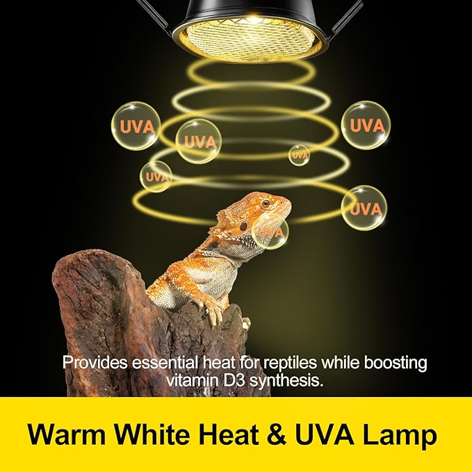 G9 Reptile Heat Lamp Combo Kit- 50W UVA Basking Bulb & Low Profile Tank Hood - Image 4
