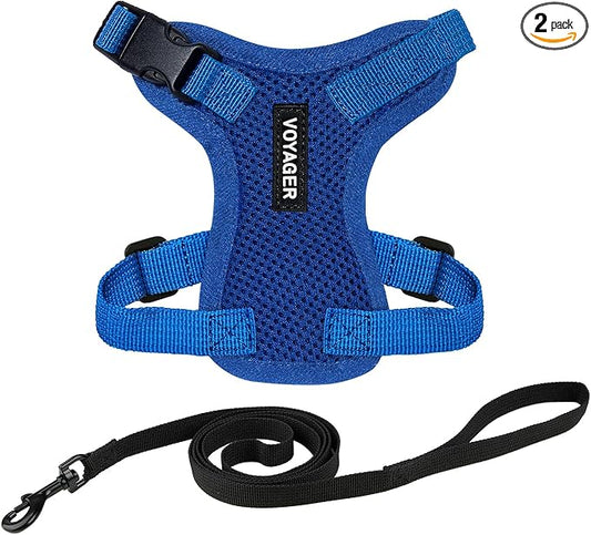 Voyager Escape-Proof Step-in Lock Cat Harness & 5ft Neoprene-Handle Leash Set by BestPetSuppliesLLC