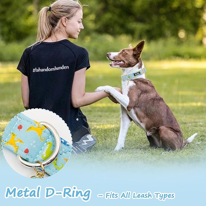 Dinosaur Dog Collar for Small Dogs, Cute Puppy Collars - Image 6