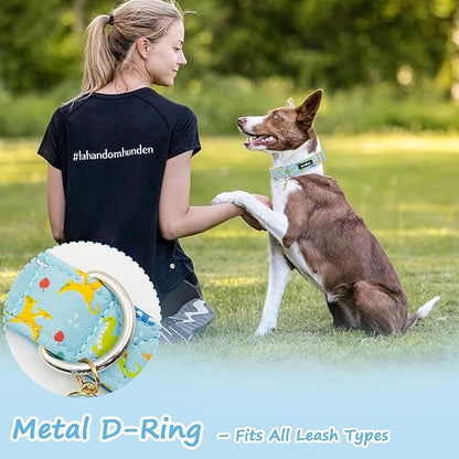 Dinosaur Dog Collar for Small Dogs, Cute Puppy Collars - Image 6