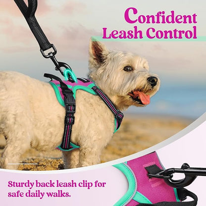 rabbitgoo Dog Harness No Pull - Image 6