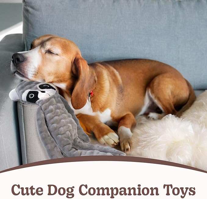 SHARLOVY No Stuffing Dog Toys 5 Pack, Crinkle Interactive Dogs Toy - Image 6