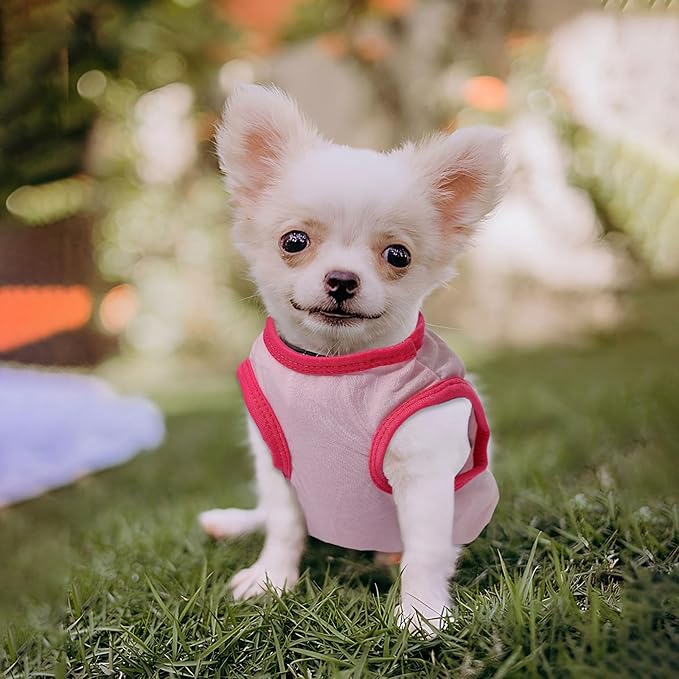 4 Pack Dog Shirts for Small Dogs Spring Summer Printed Puppy Clothes Cute Pet T - Image 8